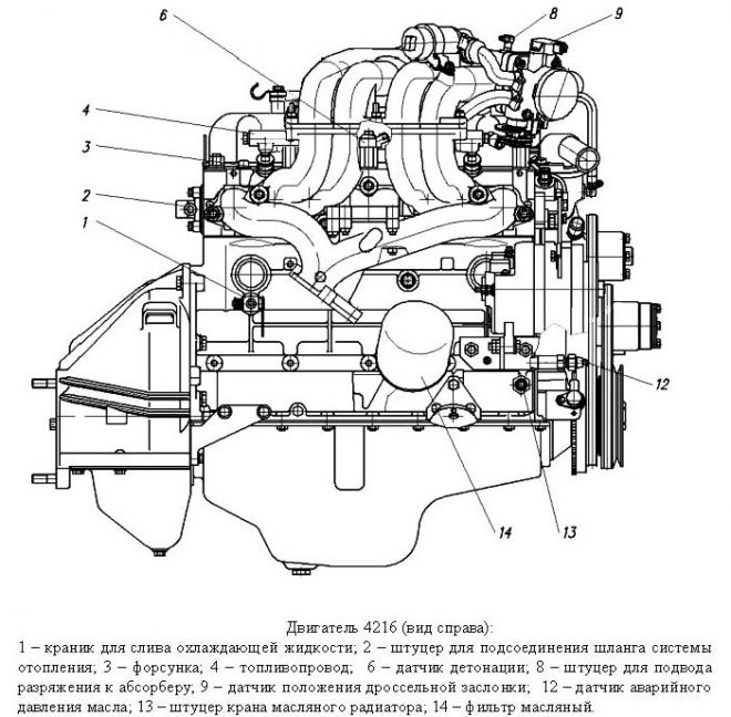 Двигатель УМЗ-4216 - схема
