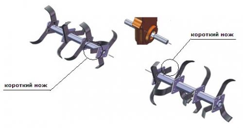 Which cutters are better for a walk-behind tractor? Milling cutters for walk-behind tractors: their purposes, differences (Salyut and Agro) and video 